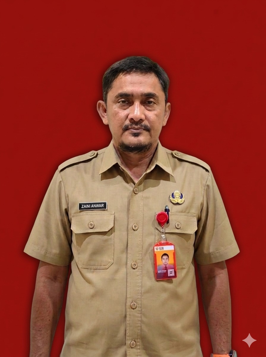 ZAINI ANWAR